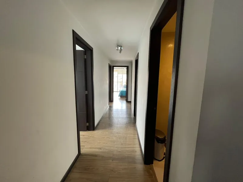 Picasso 1507 — foto 5 de 10