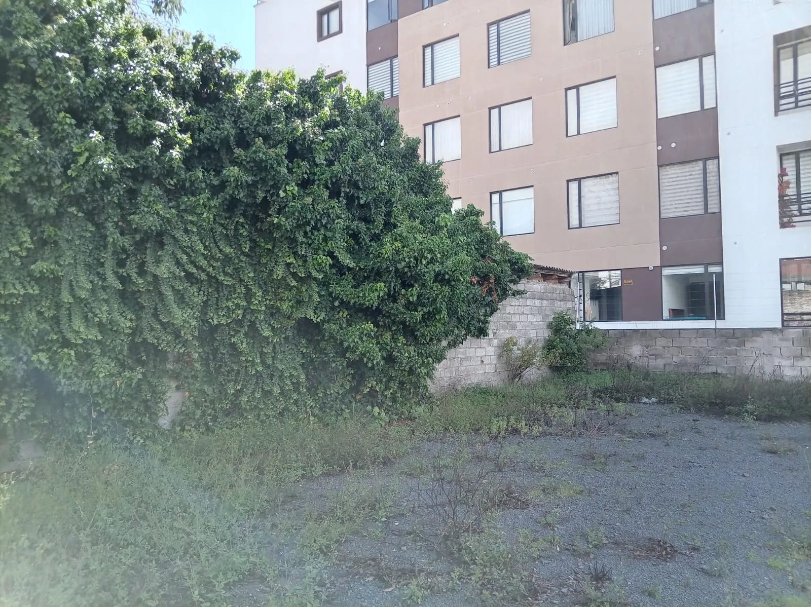 Terreno Mariana de Jesús — foto 7 de 13
