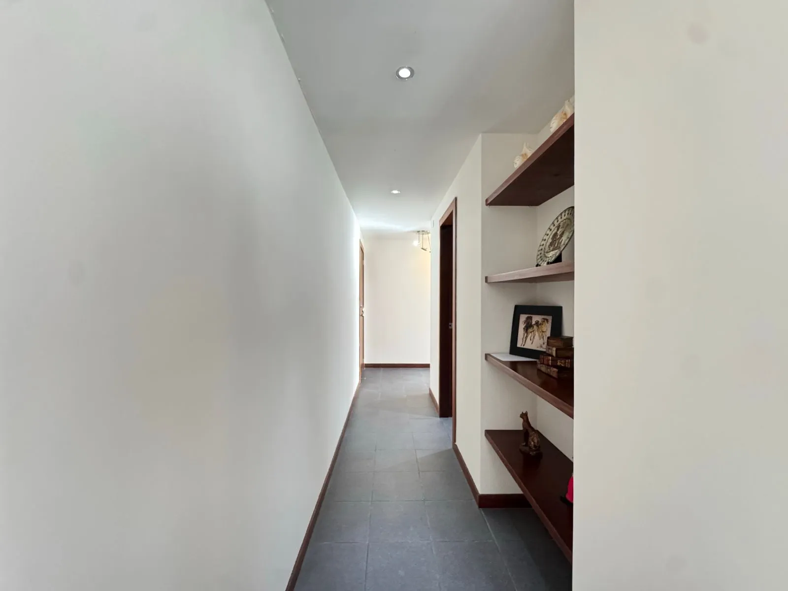 Zen 701 — foto 15 de 17