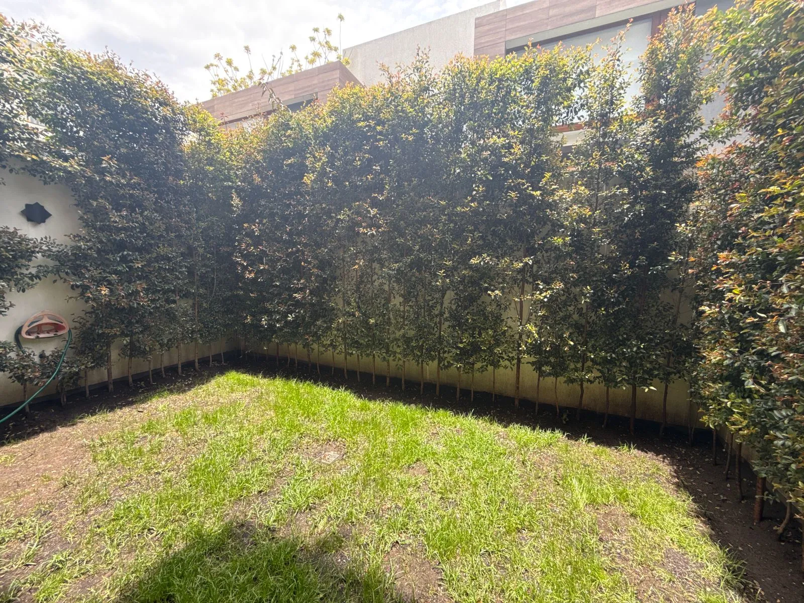 Casa conjunto Magnolia — foto 10 de 23