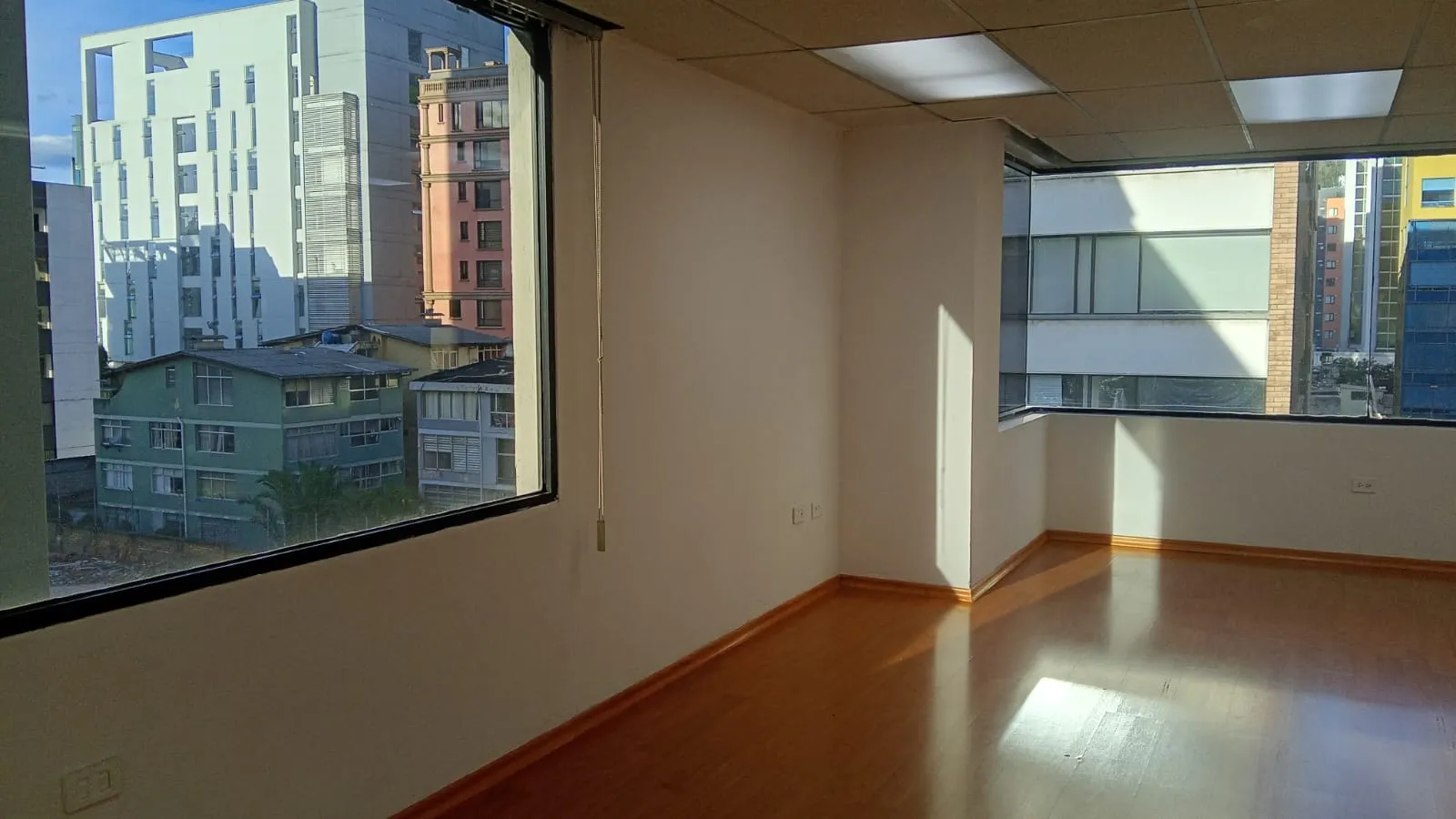 Alfil 33 — foto 6 de 11