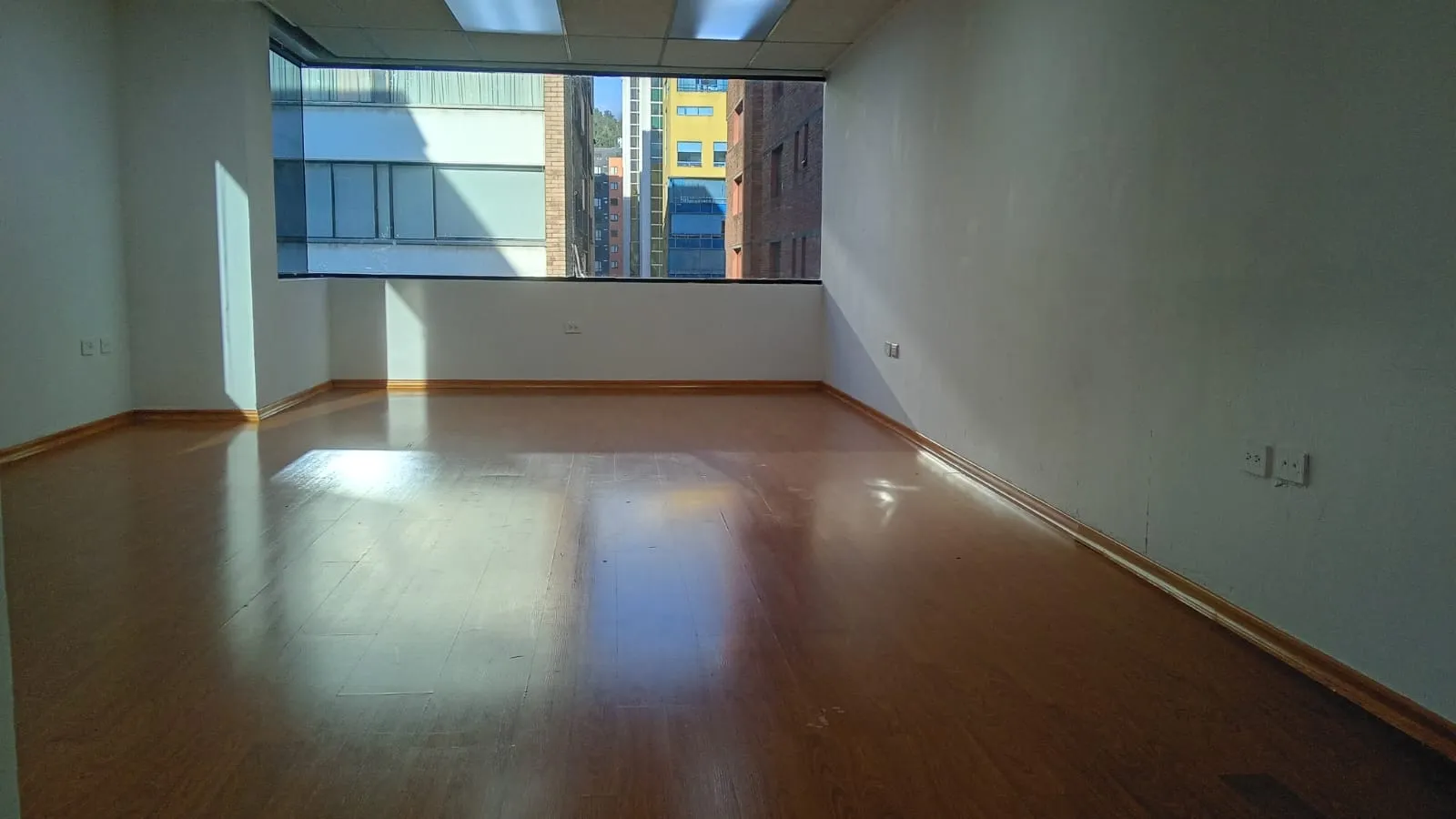 Alfil 33 — foto 5 de 11