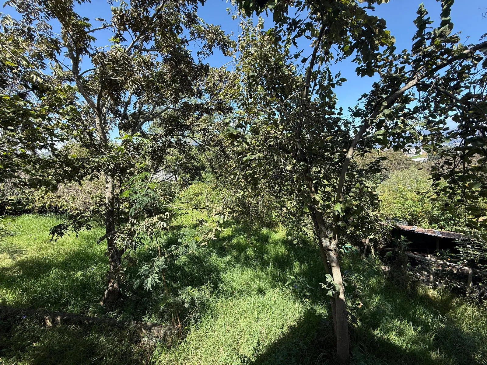 Terreno en venta en Tumbaco, Quito — foto 3 de 23