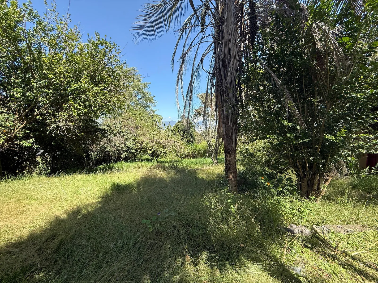 Terreno en venta en Tumbaco, Quito — foto 7 de 23