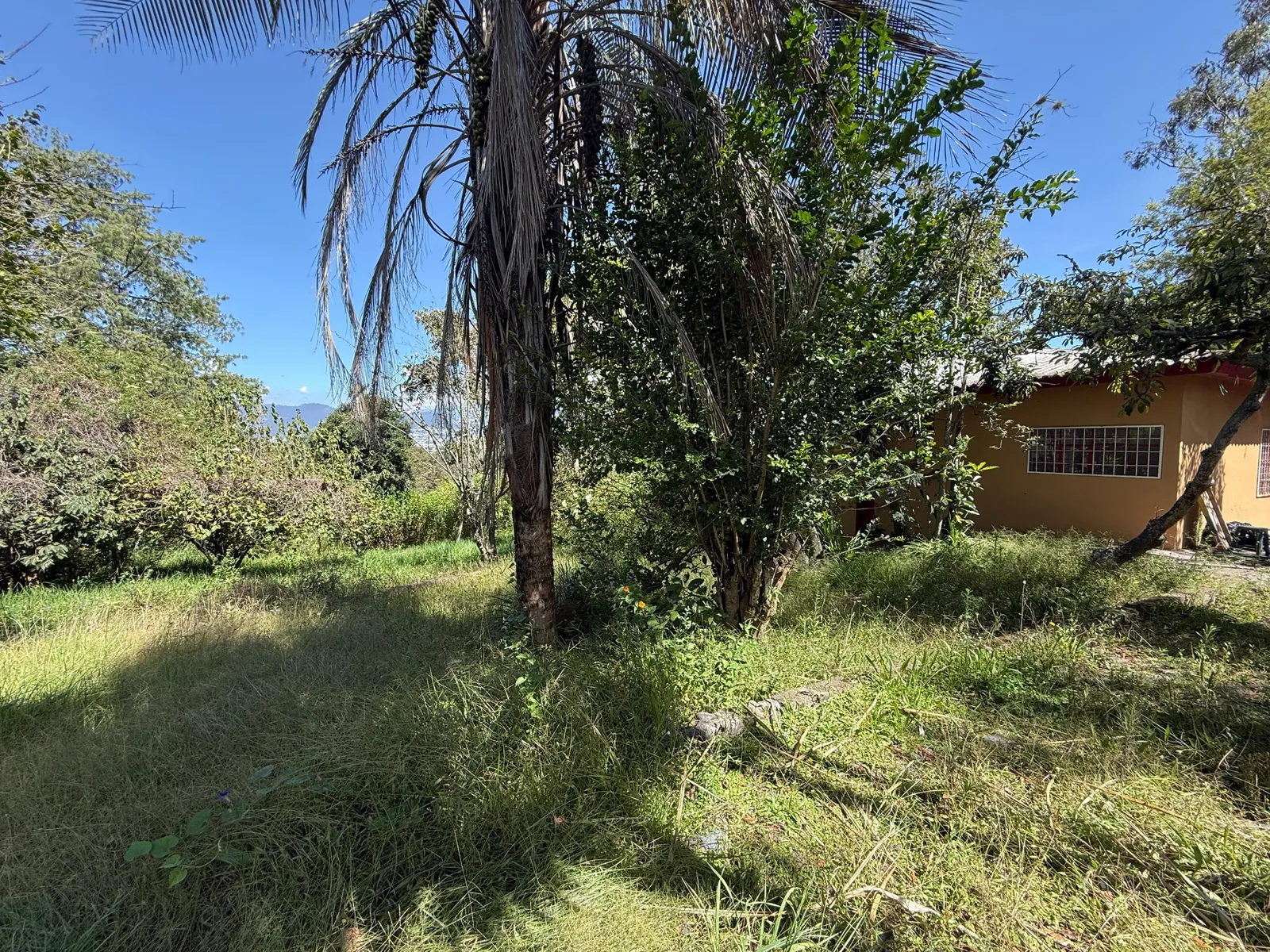 Terreno en venta en Tumbaco, Quito — foto 8 de 23