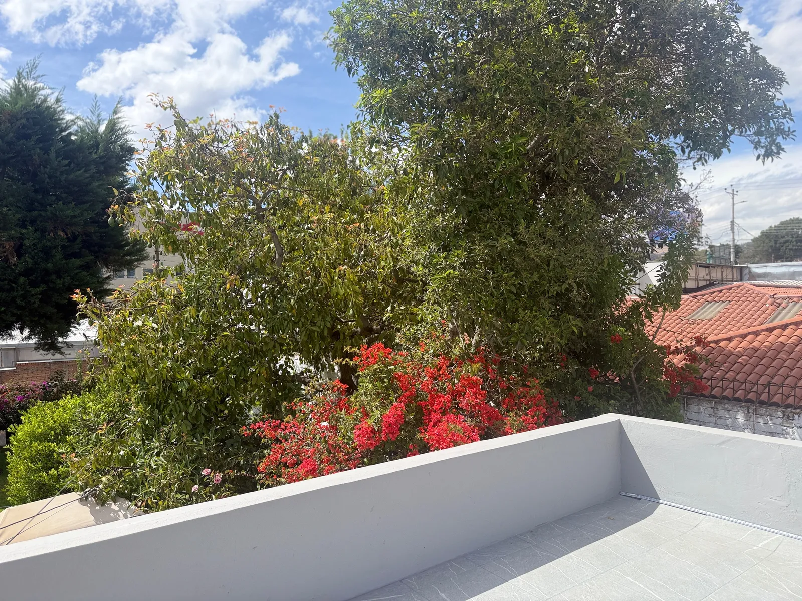 Suite en alquiler en Cumbayá — foto 14 de 15