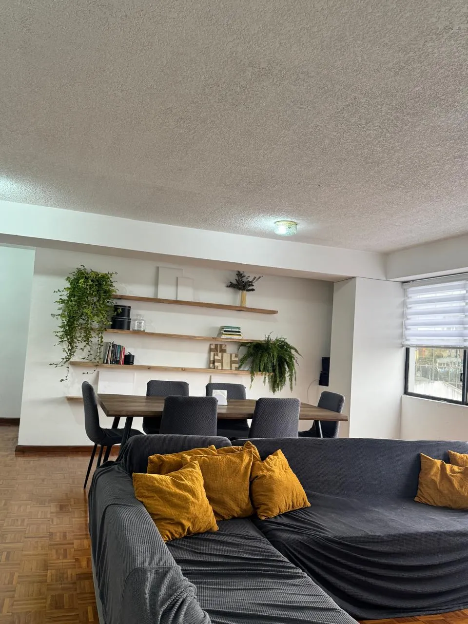 Departamento en alquiler en Jipijapa, Quito — foto 2 de 13