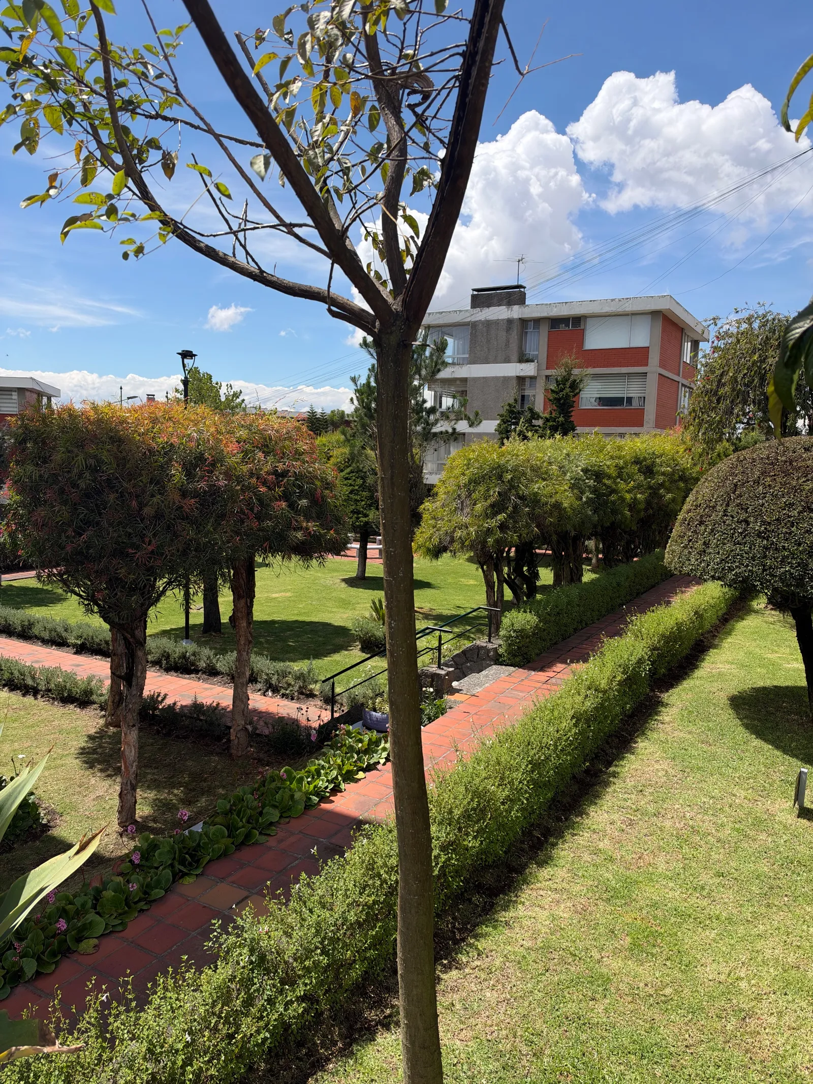 Departamento en alquiler en San Gabriel, Quito — foto 10 de 14